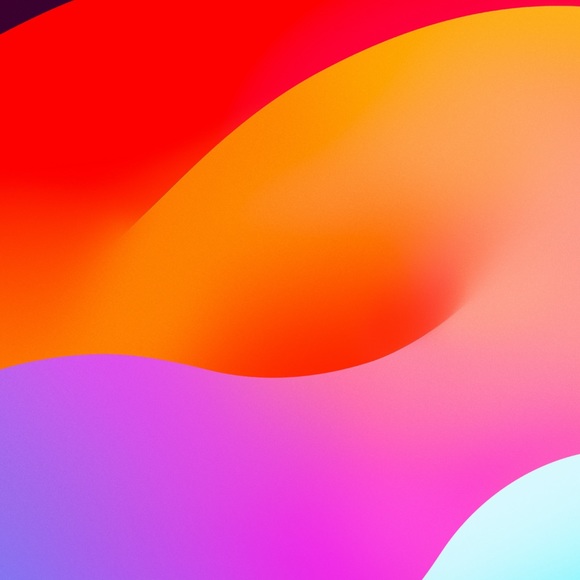 Meet your Posher, Kim - Picture 1 of 1